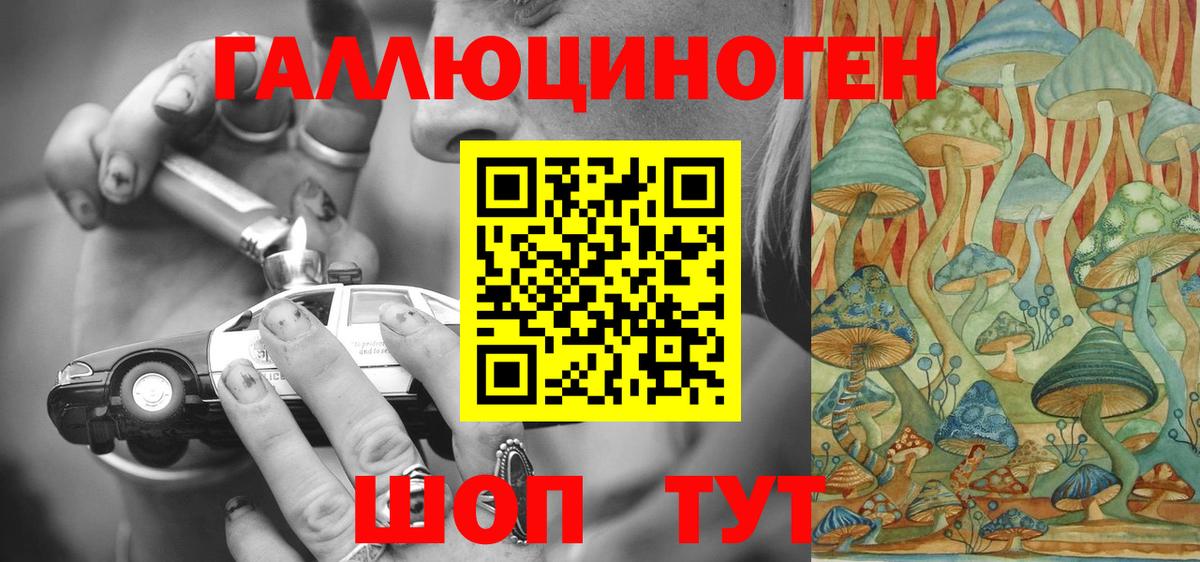 Кувандык  Галлюциногенные грибы Magic Shrooms  Вход с VPN 