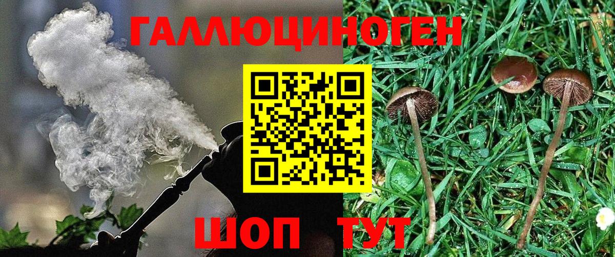Галлюциногенные грибы ЛСД Кувандык