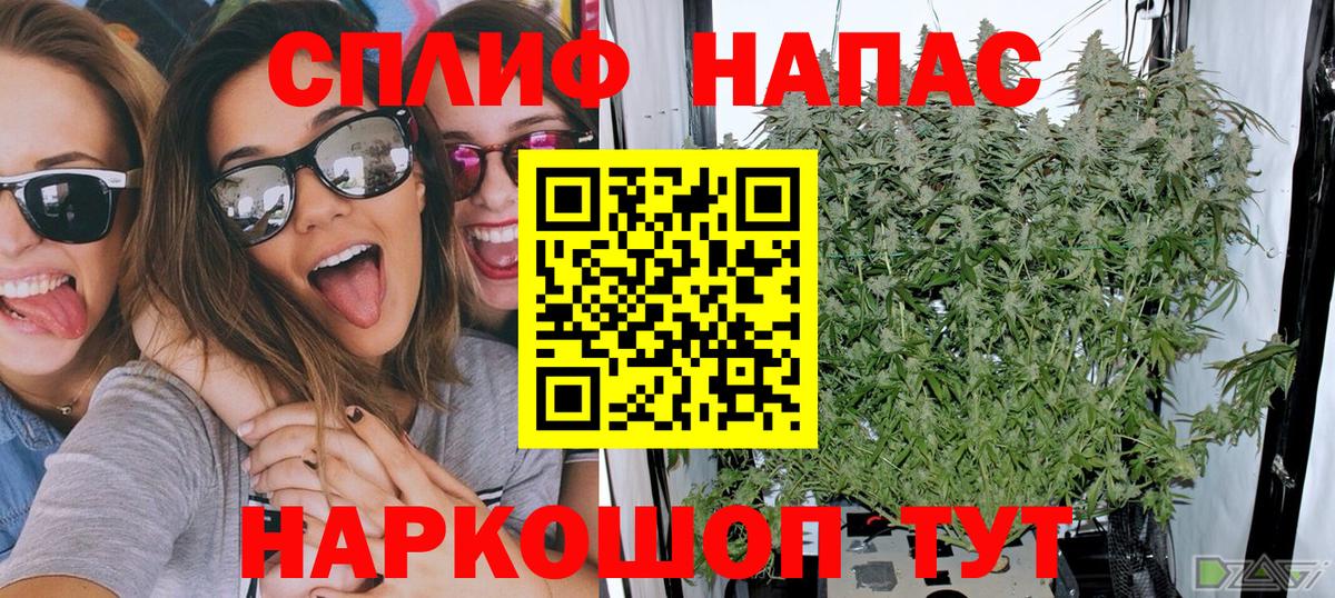 Марихуана индика Кувандык